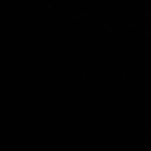 Meet your Posher, Oscar